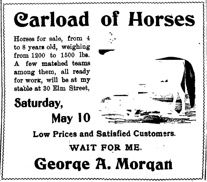 File:Carloadofhorses.png